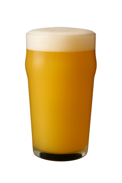 Beer Two Hoppy Sisters Citratonik